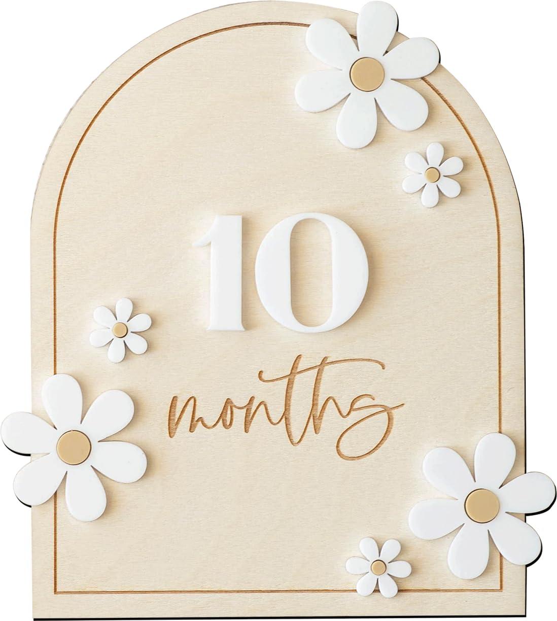 Daisy 3D Baby Monthly Milestone, Wooden Baby Milestone Signs, Monthly Milestone Wood Discs, Baby Milestone Discs (Daisy)